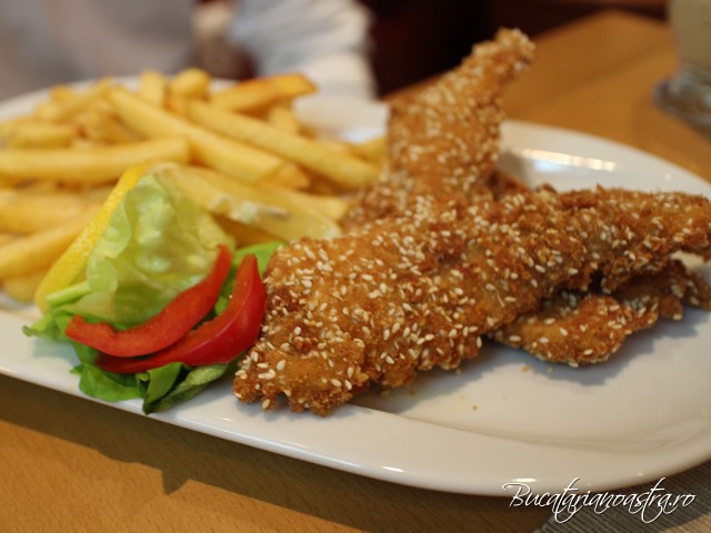 marty cluj review complet