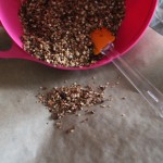 preparare granola de casa cu nuci si cacao