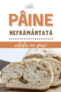 Reteta paine neframantata